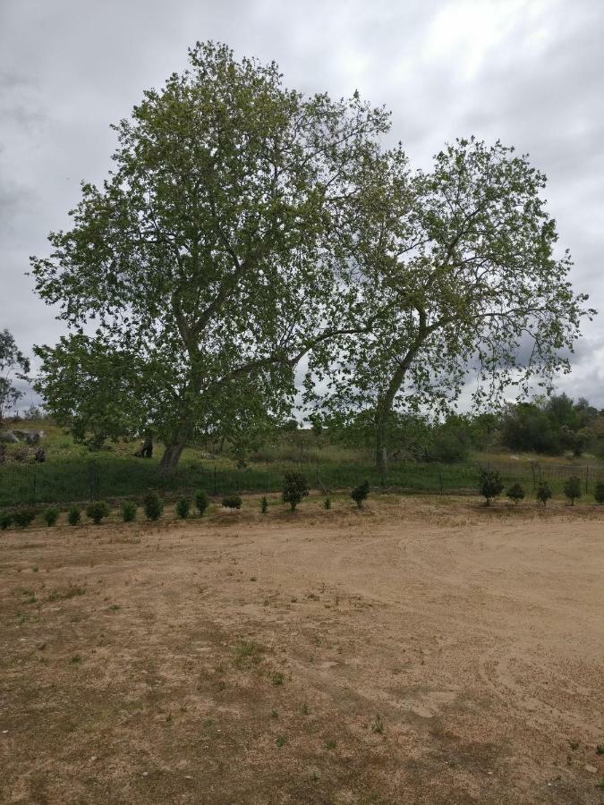 منزل الضيف Ciborro  في Quinta Da Abrunheira - Gustavo Eiffel المظهر الخارجي الصورة